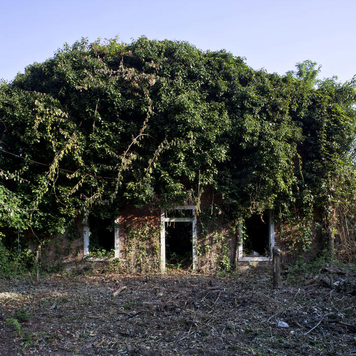 Isola della Certosa, 1